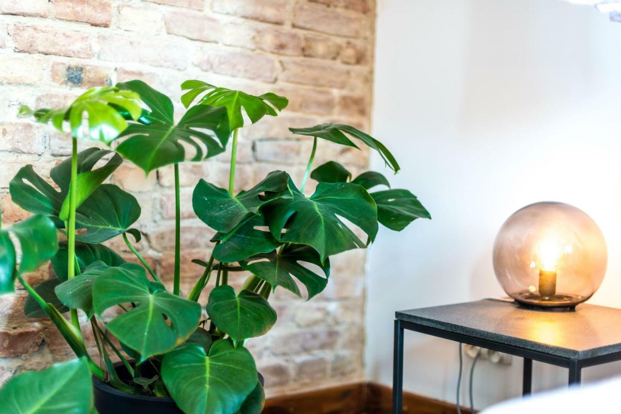 Apartmán Salon Zamkowa Poznaň Exteriér fotografie